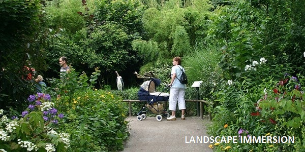 Landscape Immersion - Zoo Consultants