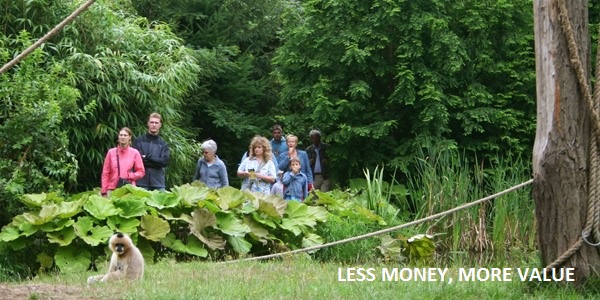 Less money, more value - Zoo Consultants