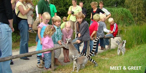 Meet en Greet - Zoo Consulants