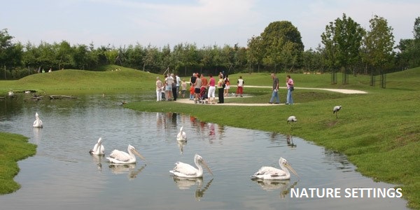 Nature Settings - Zoo Consulants